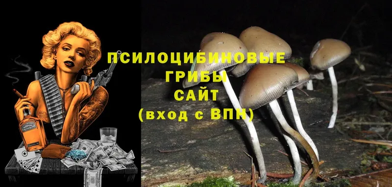 Галлюциногенные грибы Psilocybe  сколько стоит  Верхний Уфалей 